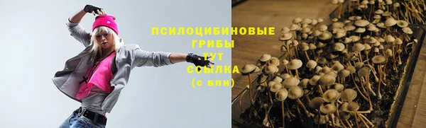 каннабис Каменногорск