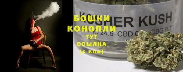 твердый Каменск-Шахтинский