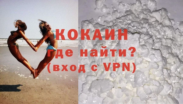 гашик Каменка