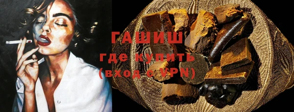 гашик Каменка