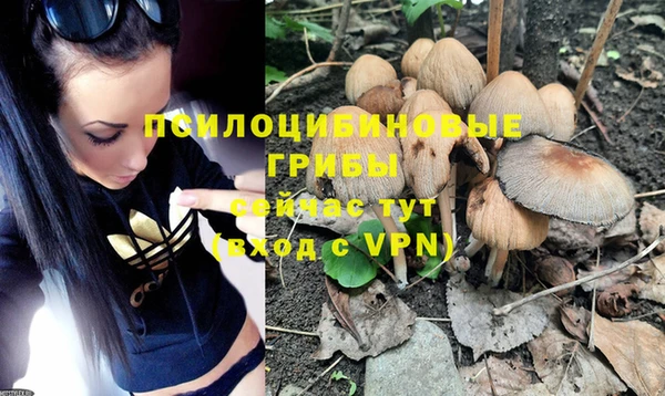 каннабис Каменногорск