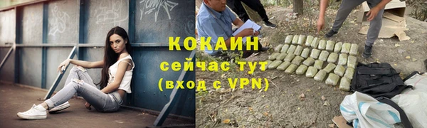 крисы Касимов