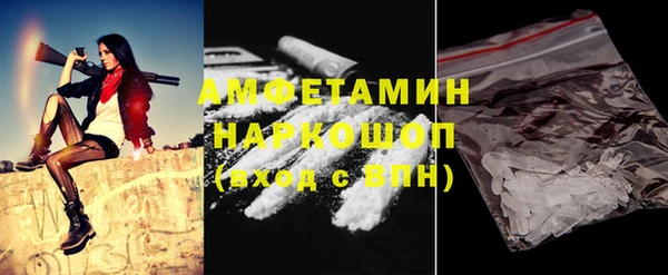 гашик Каменка