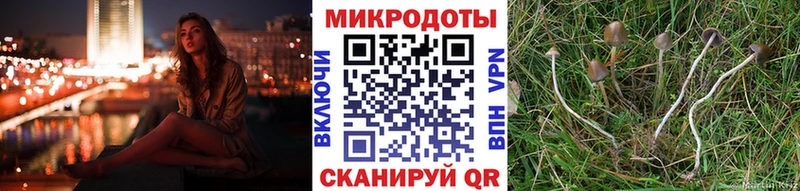 Галлюциногенные грибы Cubensis Купить Ливны